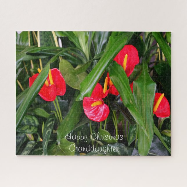 Quebra-cabeça Um presente de Natal para a minha neta. (Horizontal)