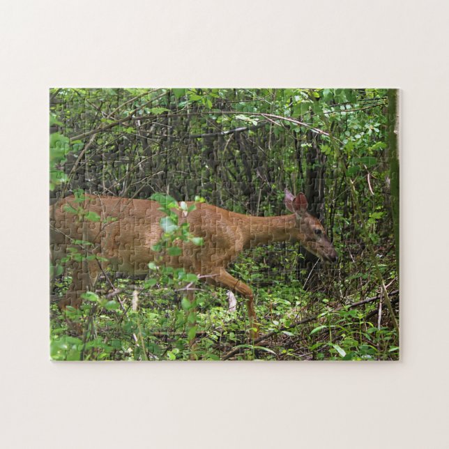 Quebra-cabeça Um Stroll através das madeiras (Horizontal)