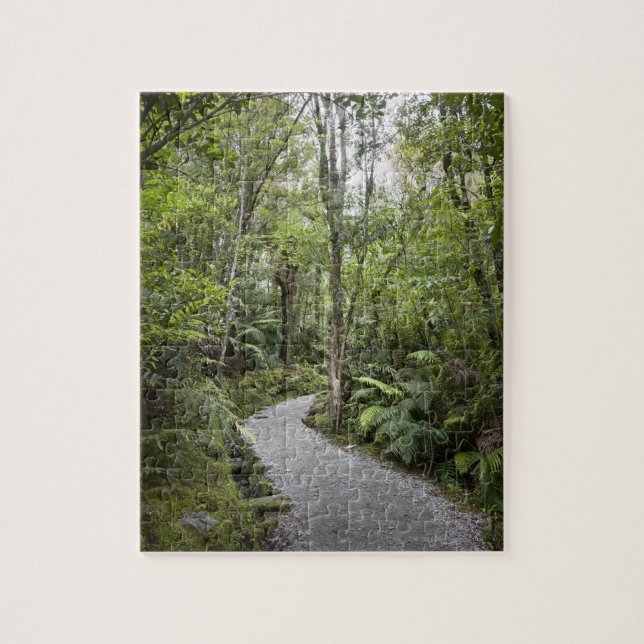 Quebra-cabeça Um trajeto através de uma floresta tropical na (Vertical)