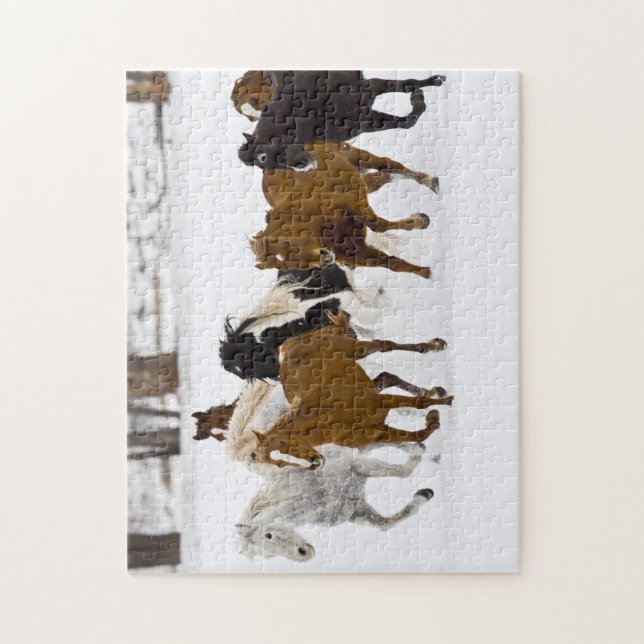 Quebra-cabeça Uma cena de inverno de cavalos correndo (Vertical)