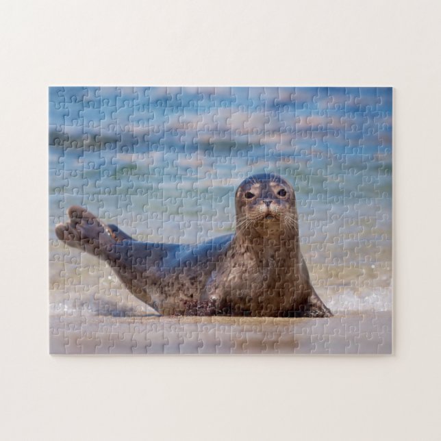 Quebra-cabeça Uma foca em uma praia ao longo da Costa do Pacífic (Horizontal)