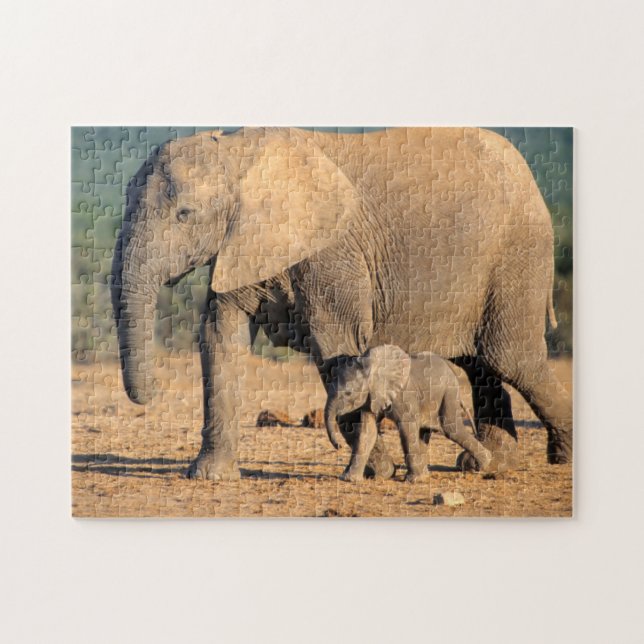 Quebra-cabeça Uma mãe e cria de Elefante Africano em movimento (Horizontal)