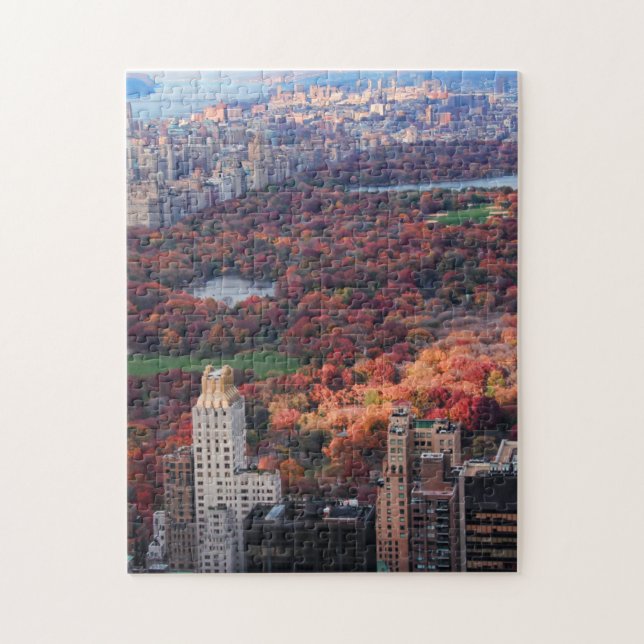 Quebra-cabeça Uma visão de cima: Outono no Central Park 01 (Vertical)