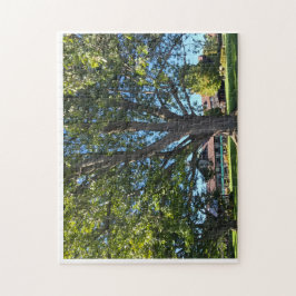 Quebra-cabeça Umbrella Tree