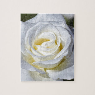 Quebra-cabeça Únicas flores do rosa branco