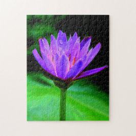 Quebra-cabeça Único lírio de água