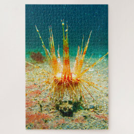 Quebra-cabeça Urchins do Mar