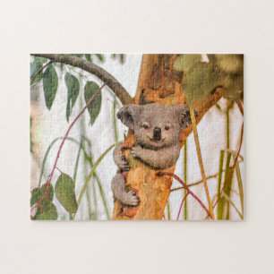 Quebra-cabeça ursinho koala