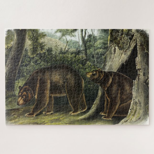 Quebra-cabeça Urso Cinamão dos Quadrupes de Audubon (Horizontal)