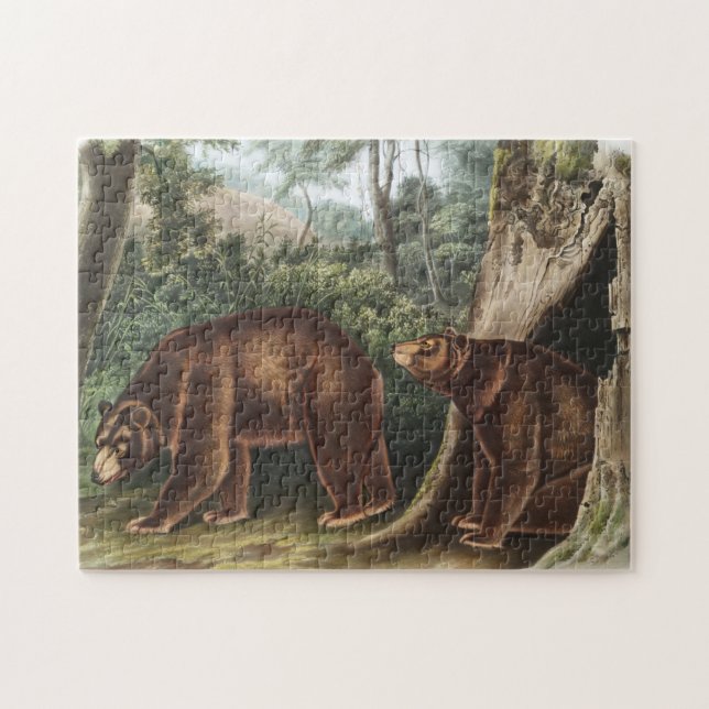 Quebra-cabeça Urso Cinamão (Ursus Americanus var. Canela) (Horizontal)