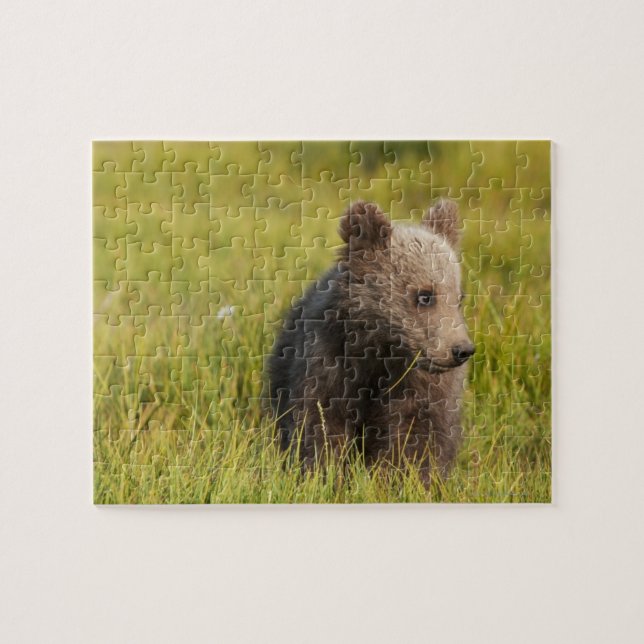 Quebra-cabeça Urso Cub do urso (Horizontal)