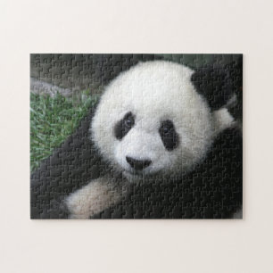 Quebra-cabeça Urso de panda de sorriso