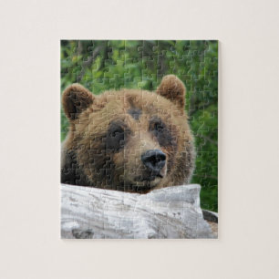 Quebra-cabeça Urso de urso do Alasca, o Kodiak