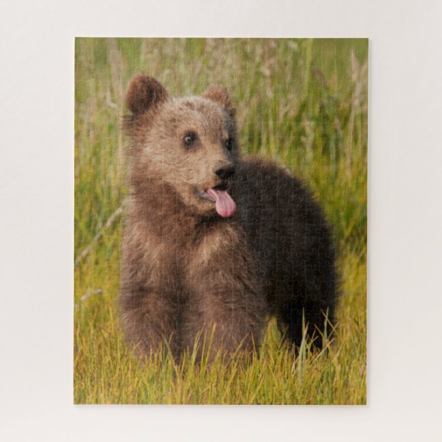 Quebra-cabeça Urso engraçado do bebê das imagens | de Getty (Vertical)