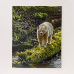 Quebra-cabeça Urso Espírito Branco   Colúmbia Britânica, Canadá