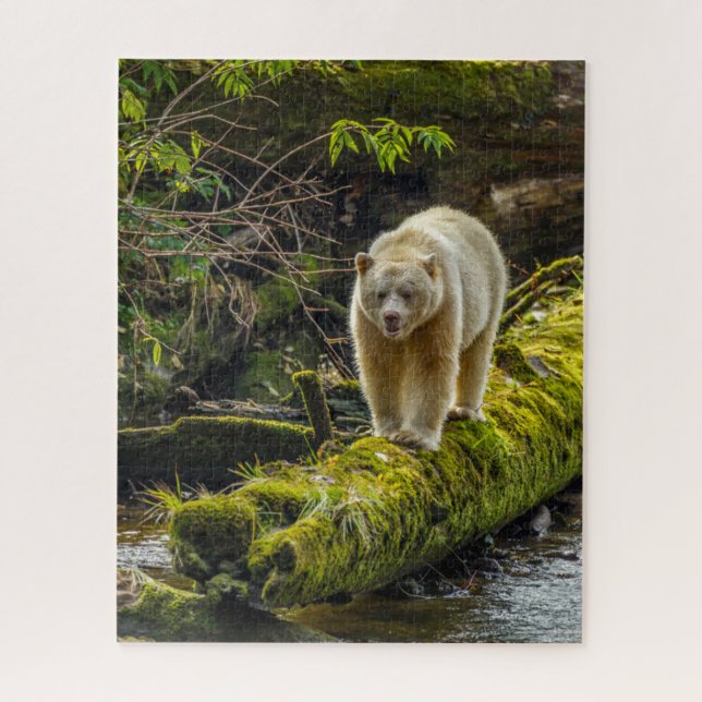 Quebra-cabeça Urso Espírito Branco | Colúmbia Britânica, Canadá (Vertical)