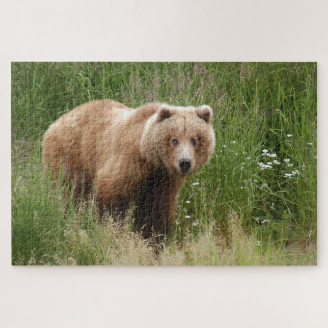 Quebra-cabeça Urso fechado, Brooks Falls Alasca (Horizontal)