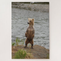 Urso fechado, Brooks Falls Alasca