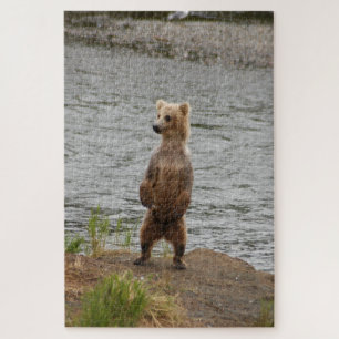 Quebra-cabeça Urso fechado, Brooks Falls Alasca