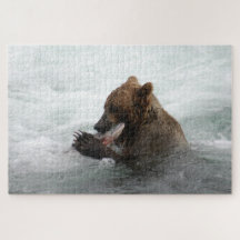 Urso fechado, Brooks Falls Alasca