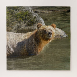 Quebra-cabeça Urso Grizzly Selvagem No Rio Orford