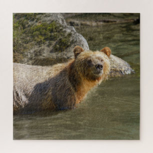 Quebra-cabeça Urso Grizzly Selvagem No Rio Orford