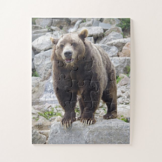 Quebra-cabeça Urso Kodiak (Vertical)