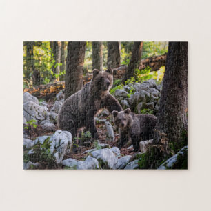 Quebra-cabeça Urso Mãe E Filhote Eslovênia