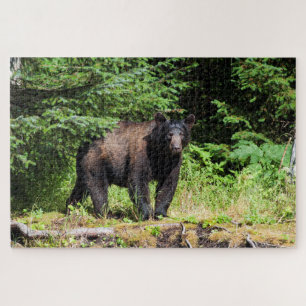 Quebra-cabeça Urso Negro Alfa