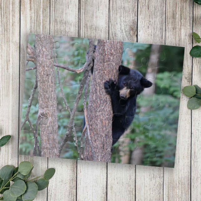 Quebra-cabeça Urso Negro Bonito Bonito Subindo Árvore Natureza (Criador carregado)
