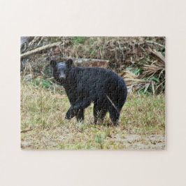 Quebra-cabeça Urso Negro da Flórida