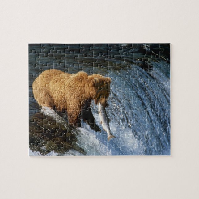 Quebra-cabeça Urso Pardo do Alasca Capturando Salmão em Brooks (Horizontal)