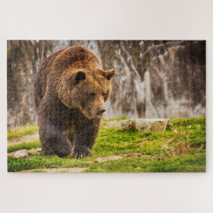 Quebra-cabeça Urso Pardo Enorme No Animal Selvagem