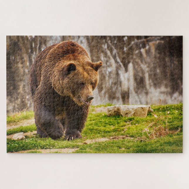 Quebra-cabeça Urso Pardo Enorme No Animal Selvagem (Horizontal)