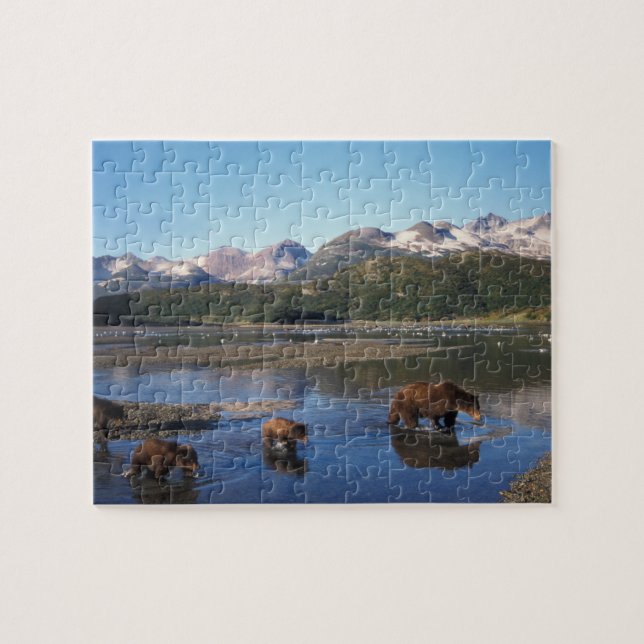 Quebra-cabeça Urso pardo, urso cinzento, porca e filhotes em (Horizontal)