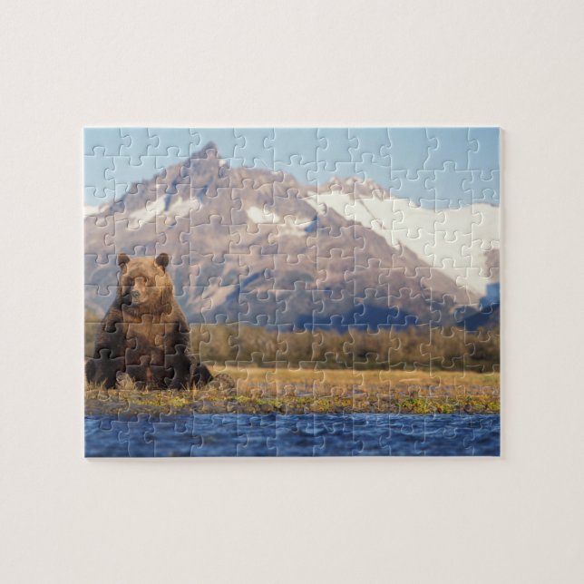 Quebra-cabeça urso pardo, Ursus arctos, urso cinzento, Ursus (Horizontal)