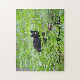 Quebra-cabeça Urso - Parque Nacional Shenandoah