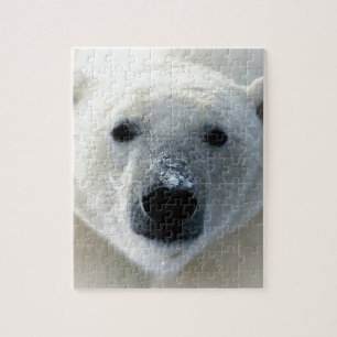 Quebra-cabeça Urso Polar