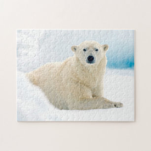 Quebra-cabeça Urso polar adulto grande javali no gelo de verão