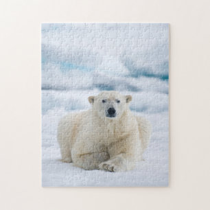 Quebra-cabeça Urso polar adulto no gelo do verão