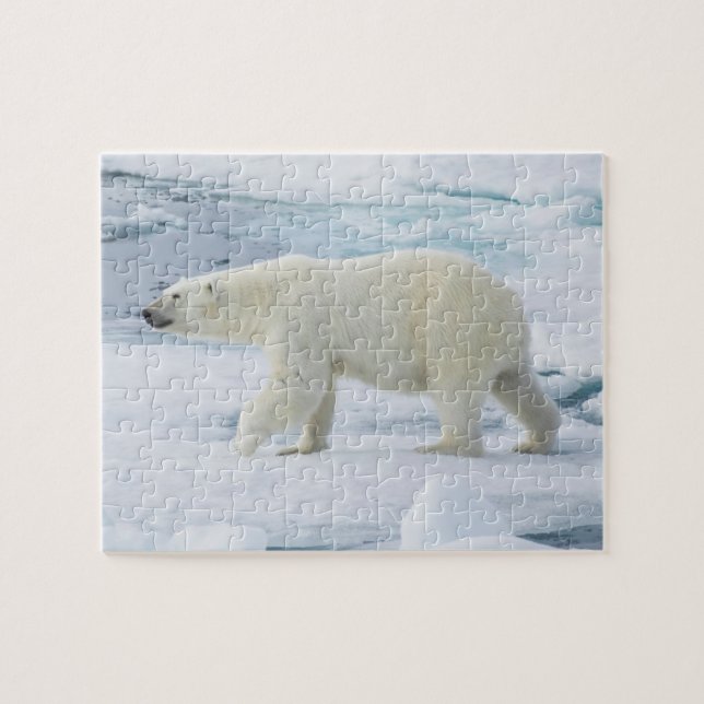 Quebra-cabeça Urso polar andando, Noruega (Horizontal)