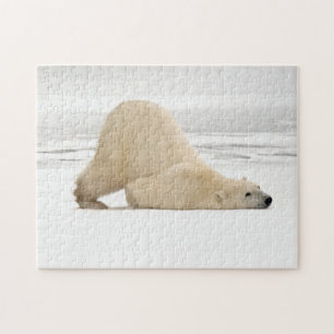 Quebra-cabeça Urso polar coçando-se na tundra congelada