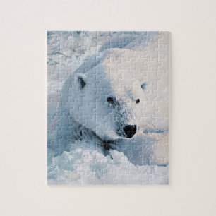 Quebra-cabeça Urso polar e neve