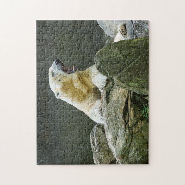 Quebra-cabeça Urso polar irritado (Vertical)