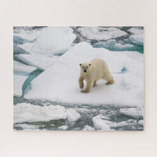 Quebra-cabeça Urso Polar no Gelo do Mar Ártico em Svalbard