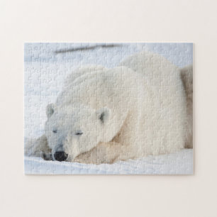 Quebra-cabeça Urso Polar no inverno