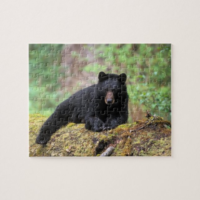 Quebra-cabeça Urso preto em um tronco de crescimento antigo na (Horizontal)