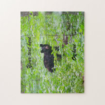 Urso preto na floresta