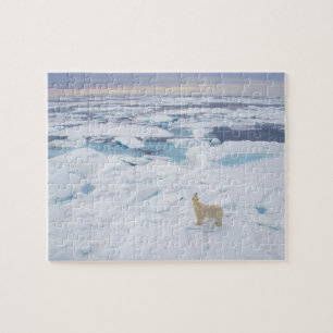 Quebra-cabeça Urso Quebra-cabeça-Polar da Vida Selvagem