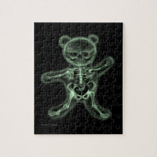 Quebra-cabeça Urso X-Ray Teddy!